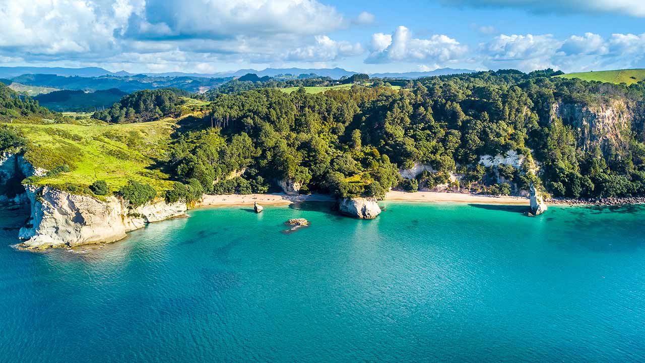 The 5 Best Road Trips to Take from Auckland