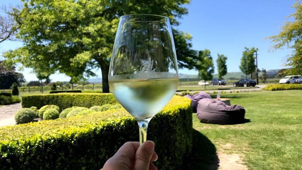 The Best New Zealand Wineries
