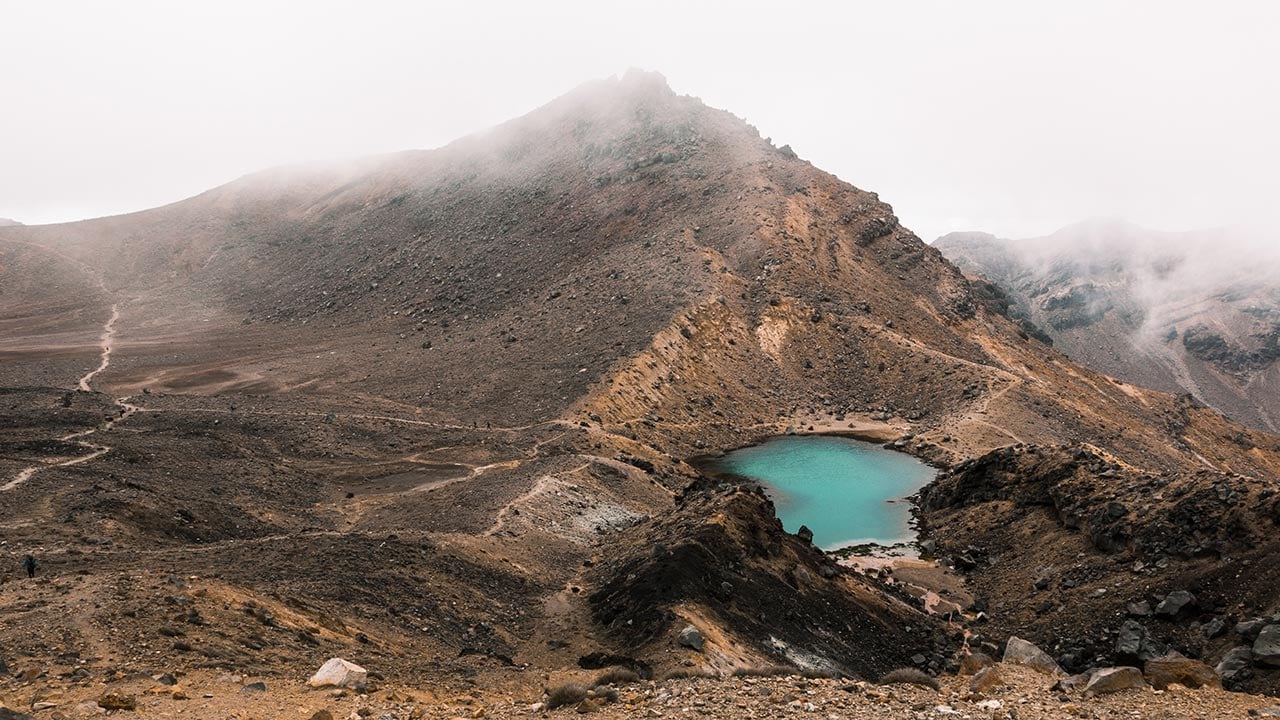 The Perfect Auckland to Wellington Road Trip Itinerary