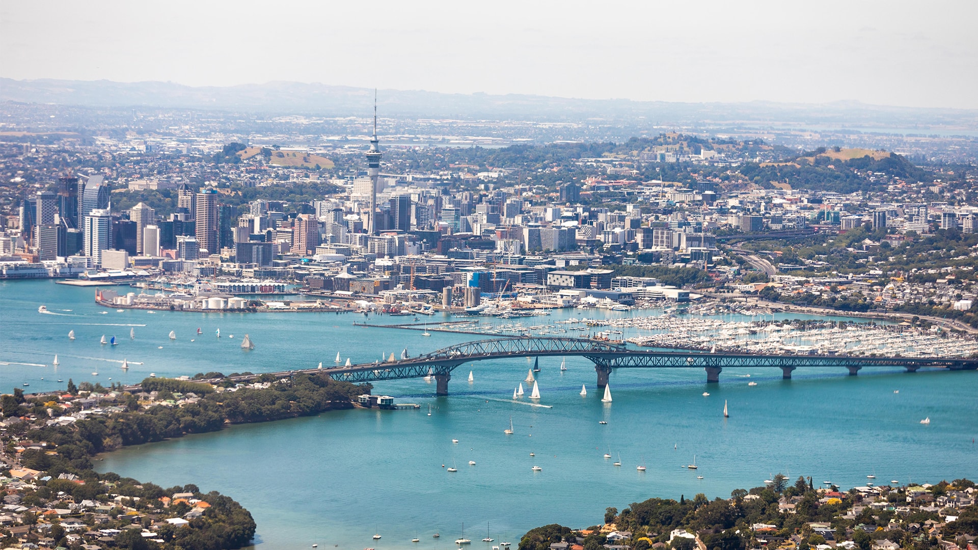 Self-Drive Day Trips From Auckland | Enterprise