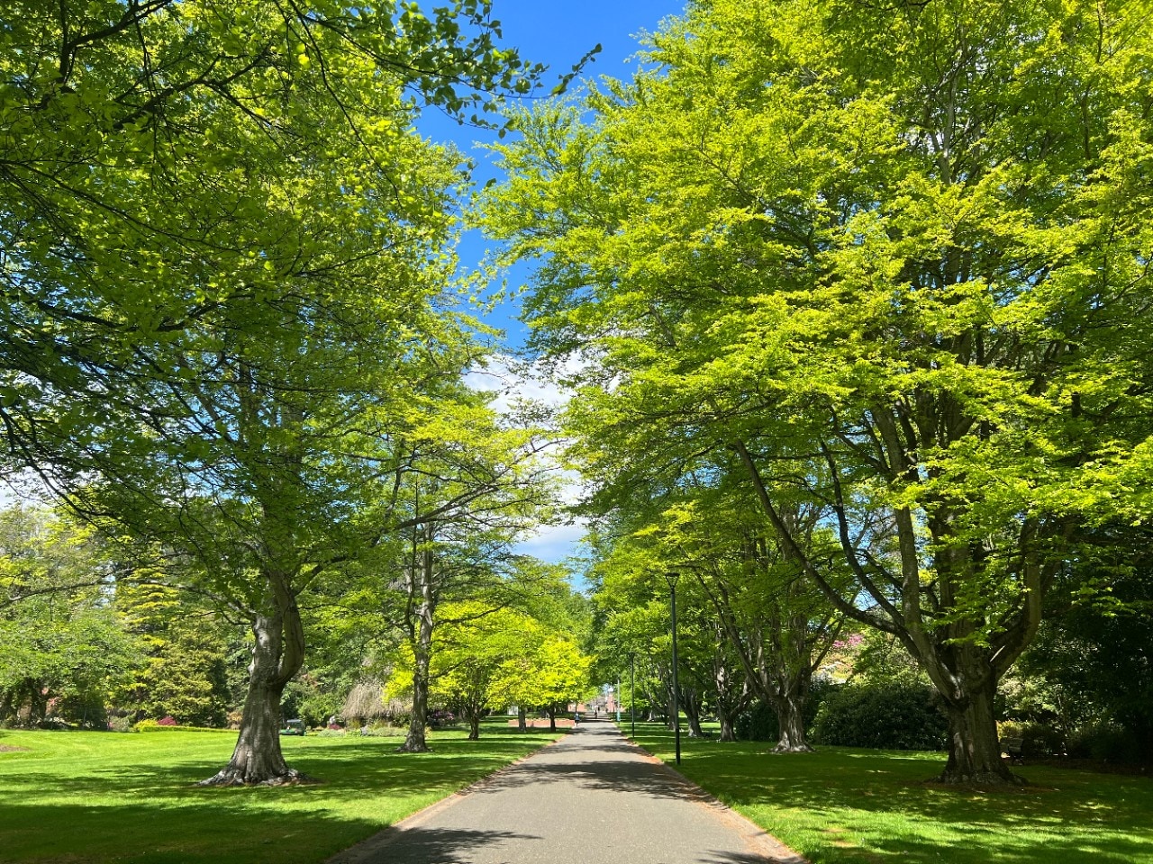 Queens Park - Southland, New Zealand