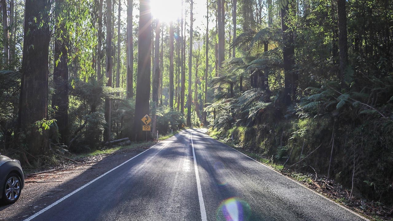 New Zealand Road Trip