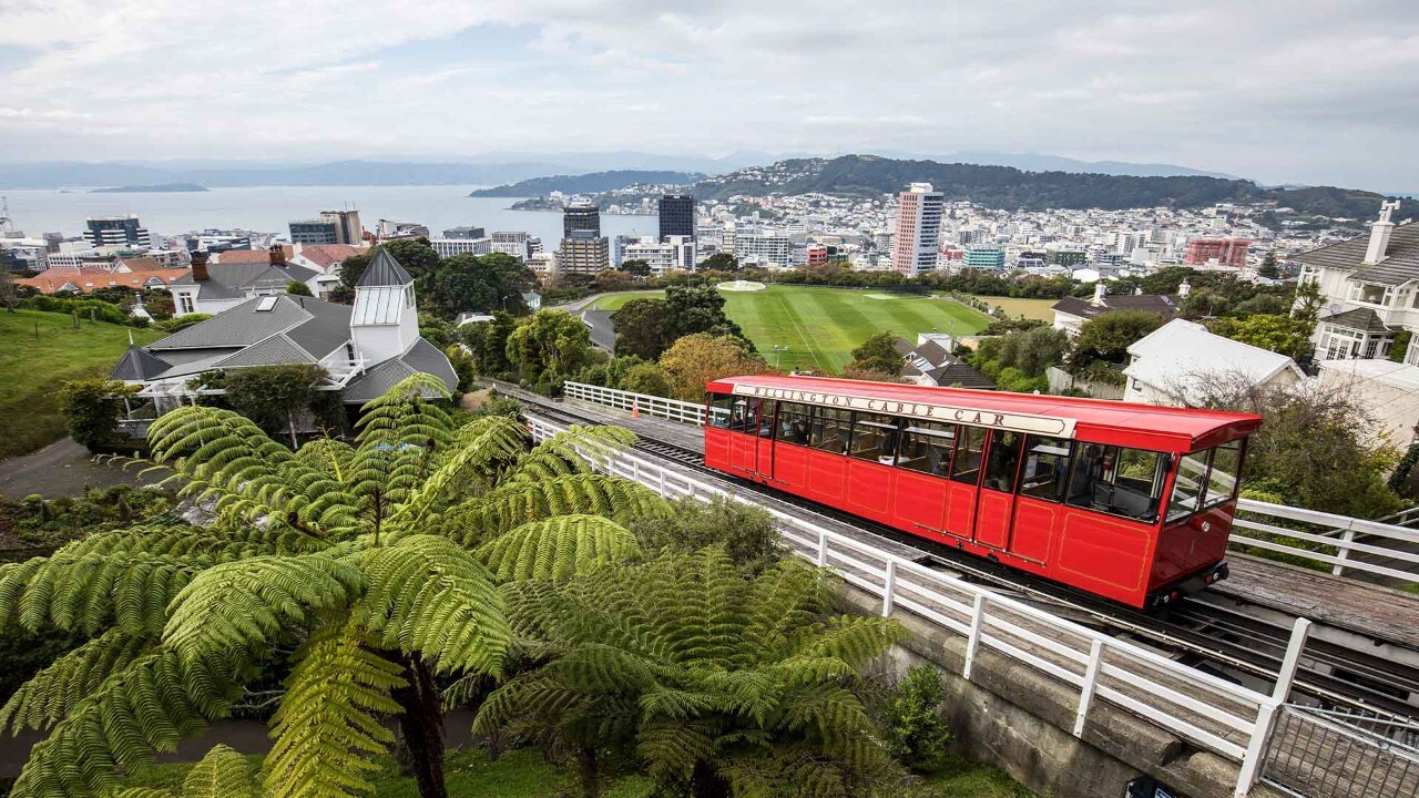 Car Rental from Auckland to Wellington