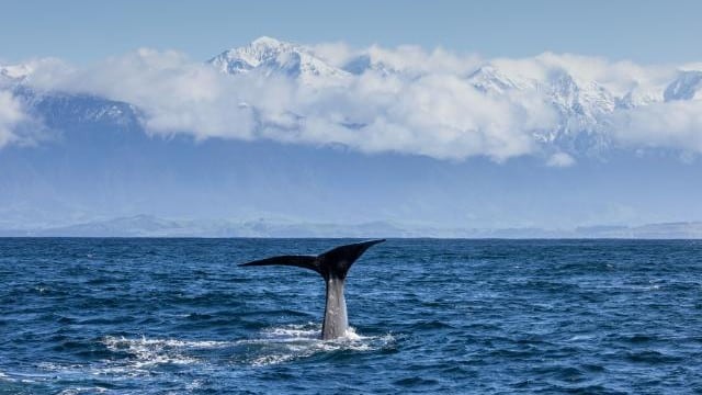 Kaikōura