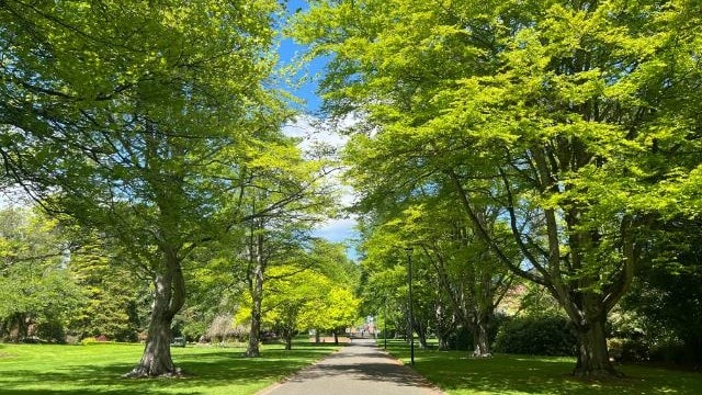 Invercargill