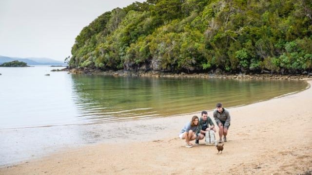Stewart Island